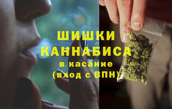 молекула духа Майский