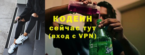 молекула духа Майский