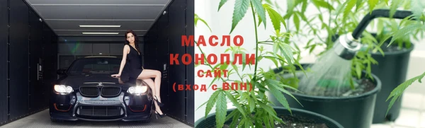 молекула духа Майский