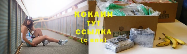 молекула духа Майский