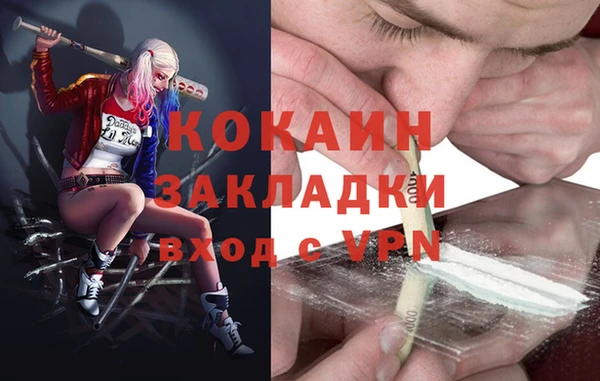 дживик Магас