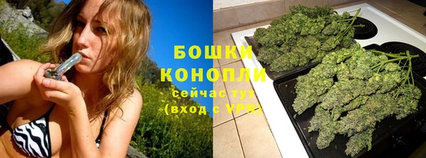 молекула духа Майский