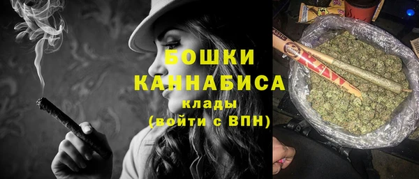 дживик Магас