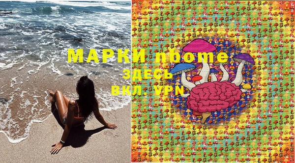 дживик Магас