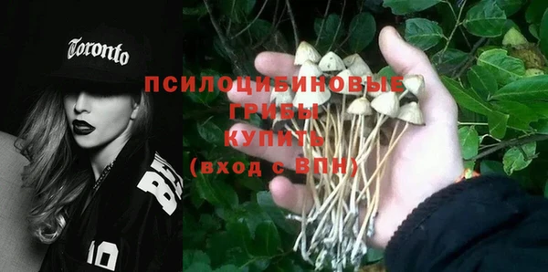 метадон Медвежьегорск