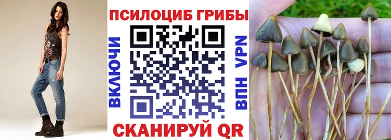 Псилоцибиновые грибы мухоморы  Купить закладки  Зуевка 