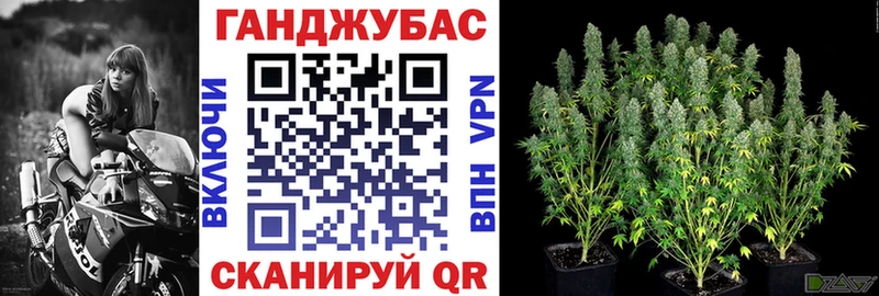 Купить закладки Зуевка Бошки Шишки VHQ